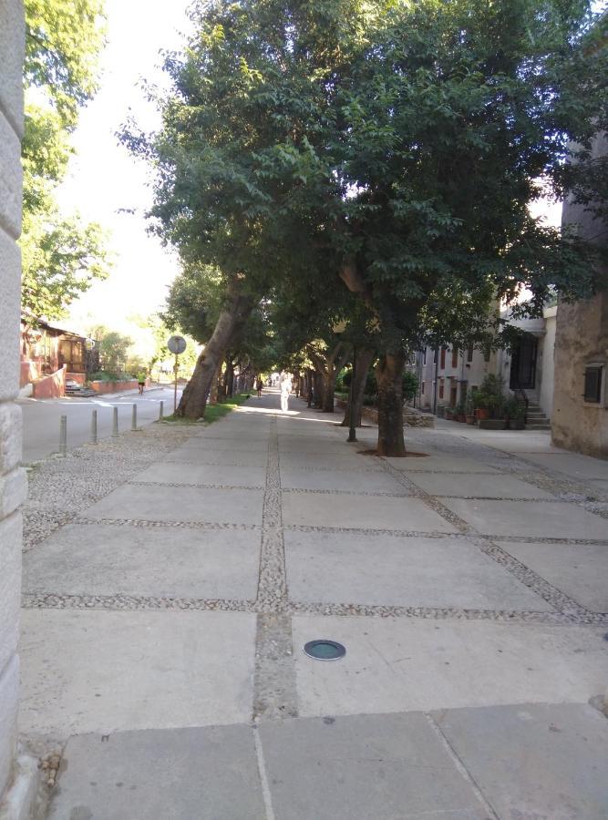 Apartment Dana Cres